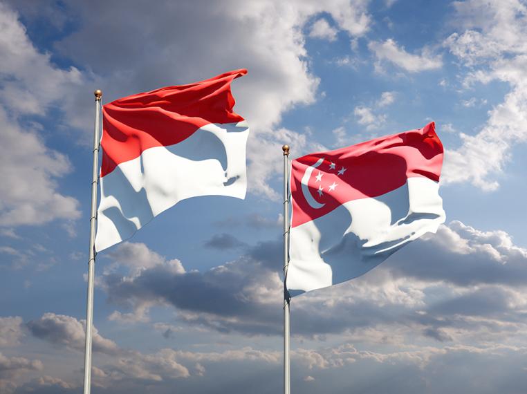 Indonesia flag on the left and Singapore flag on the right on a sky background