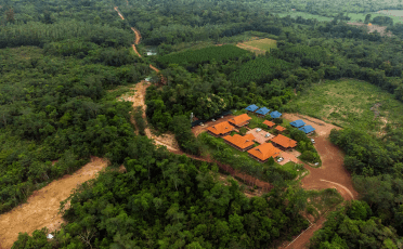 TotalEnergies Invests in Sustainable Forestry in Southeast Asia